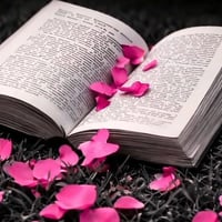 دورات السادس الابتدائي • تدريس خصوصي • دورات تقوية • الدور الثاني • تد...