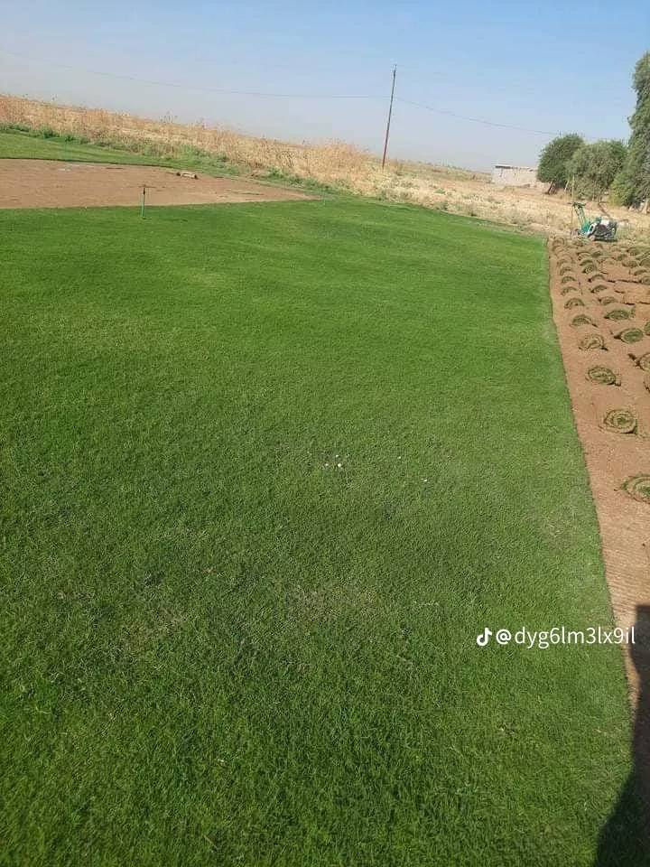 ثيل ديالى الطبيعي درجه اولى توصيل جميع المحافظات العراق بكافه الانواع لاتصال على الرقم تالي ***********او ***********
