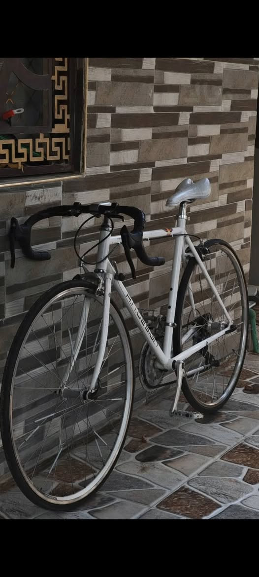 السلام عليكم

بايسكل سباق رود

ماركه andesign

معدن فافون (المنيوم) 

مكينه اماميه وعگرب شيمانو 

كلاسك

امامي 54سن
خلفي 12سن

2نمر اماميه
8نمر خلفيه

ديالى بعقوبه 

لايتوفر توصيل

نعتذر عن المراوس

السعر 180 بي مجال جداً بسيط🤍


**إذا كنت صاحب هذا الإعلان وتريد حذفه لأي سبب، رجاءا أرسل رسالة إلى الدعم الفني**