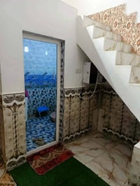 خلف حي الحضارة • ١٦٠م • زراعة سند ٢٥
