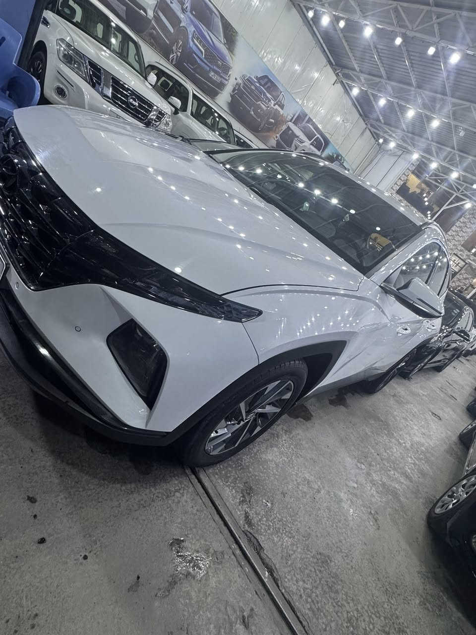 توسان خليجي موديل 2024
رقم بغداد تحويل مباشر سنويه 2028 

مواصفات فول 1/1 عدا البنوراما 

ماشيه 35 كم حقيقي 

مكاني بغداد السعر 223 وبيها مجال 

***********

***********
