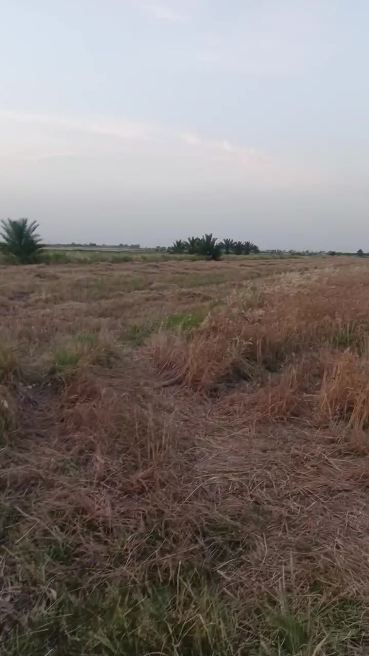 كاع ٣ ونص دونم للبيع عقد على ١١٧ الواجه ٣٠ م النزال ٢٠٠م  العنوان واسط الحفرية شويفي قريبة عن بيت ريس  تبعد عن شارع بغداد كوت كيلو  عن تبليط ول السده ٥٠متر  تفاصيل بالتصوير  السعر ٥٠ مليون وبيهة مجال  بشرط تتكاتب ويا ابو  العقد على المباشر ويطيك نسخه من العقد  ضمان حقك ولك حق تبني بيوت تزرع بيها ماكو كله اعتراض منطقه امينه بمعنى الكلمه وناسها طيبين دير الشمر معروفه 
الاستفسار *********** احمد الشمري
