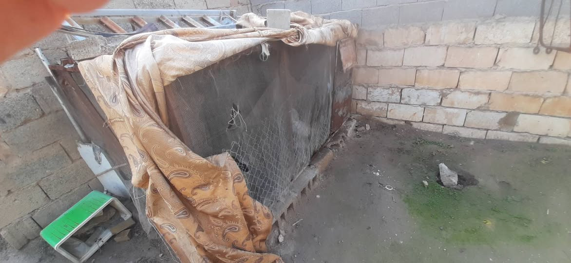 السلام عليكم  قفص طوله ٢.٥ معه ٣ دجاجات كلش حلوات  وديج خشن للبيع فقط
تنبيه الديج  يتهوش  يعني ينكر  حتى اكون صريح السعر كلها ٨٥ 
***********
