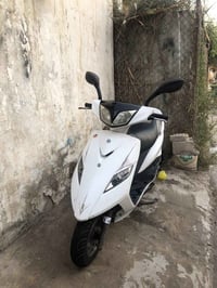 ثعلب • محرك مكفول • بغداد الشعله