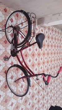 باسكل 26 • ماروني • ياباني جديد