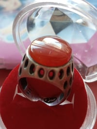 تحف • سوار • كربلاء