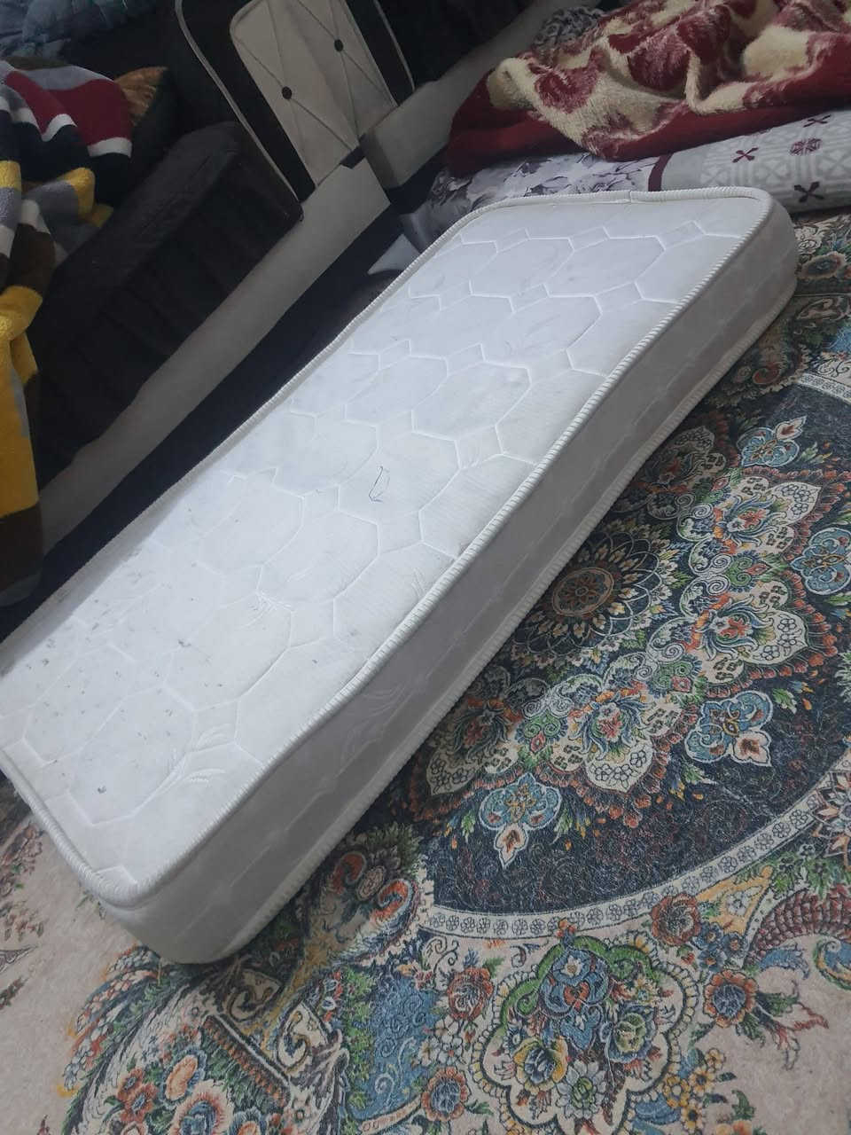 كل حاجه على ١٠


**إذا كنت صاحب هذا الإعلان وتريد حذفه لأي سبب، رجاءا أرسل رسالة إلى الدعم الفني**