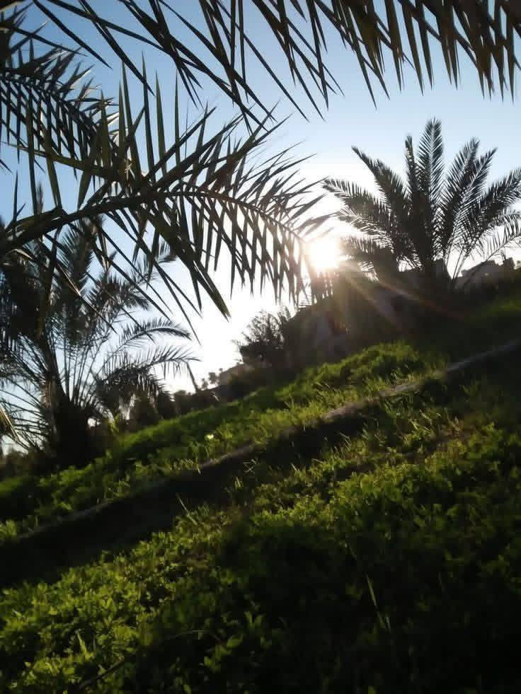 جايبلك عرض ابد ميضيع ✅
5 دونم السعر الكلي ٤٠ مليون وصنف الأرض طابو زراعي سند 25 موقع جداً مميز يبعد عن بغداد بس نص ساعه
التاجي ذراع دجله الشيخ عامر قرب مرقد بنات الحسن
على شارع 10 متر
فتح بيان وتحويل بأسم المشتري وتباع تقطيع

للاتصال والاستفسار *********** واتساب
