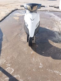 ماكس ثعلب • دراجة نضيفة • الخضراء مقابل العامرية