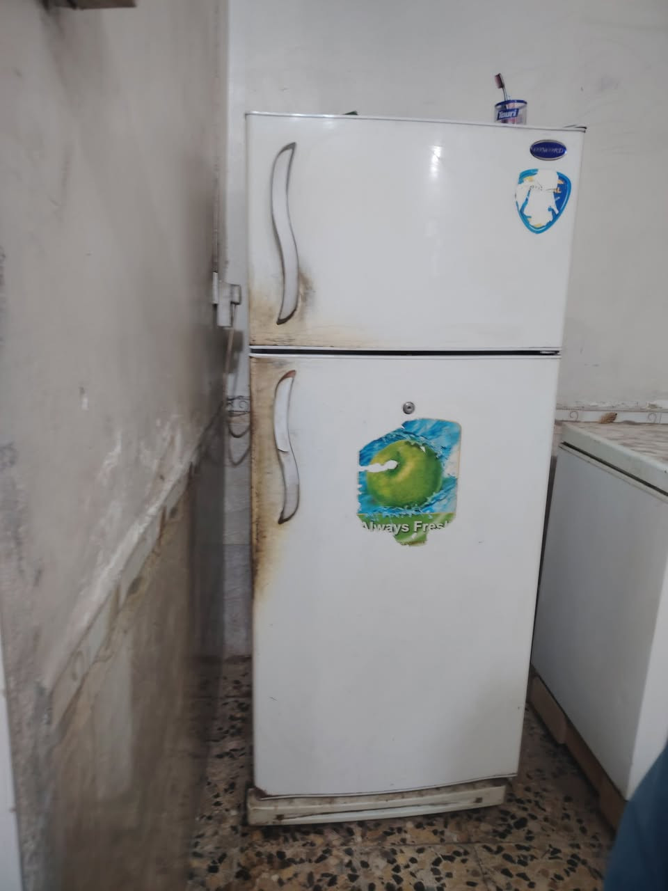 للبيع الثلاجه ٧٥
الطباخ ٧٥


**إذا كنت صاحب هذا الإعلان وتريد حذفه لأي سبب، رجاءا أرسل رسالة إلى الدعم الفني**