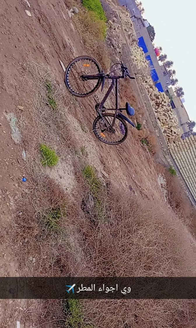 سلام عليكم شون الشباب الطيبه الحلال للبيع بايسكل MTB البايسكل ماركه عالمية اخذته قبل 4 اشهر تقريبا بريكات امامي خلفي ديسك كشن حاطله طبي مال بناتي وبي مكينه امامي 3 نمر ومكينه خلفي 7 نمر دبلات امامي ام القفل الويل الامامي بلادي وبي ويل كب خلفي مثل ما موضح الويل لبلادي ماكو ويا لين راوسته وي هاذ الويل كب وعندك التايرات بجيس بدلتهم البارحه وجوابه كذالك كير خلفي بجيس مبدله بس الامامي عاطل لونه مميز رصاصي عل رمادي بلادي صبغته ما ملعوب بي عل ايدي المهم سعر البايسكل 120 الف وبي مجال بسيط للشراي مكاني بغداد قرب جزيره بغداد السياحيه منطقه كميره للتواصل عل رقم الهاتف *********** واسف عل اطاله وشكرا ❤️
