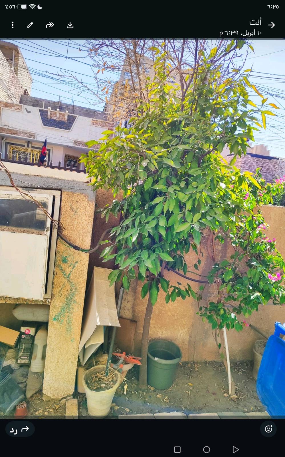 دار طابو ملك صرف
المساحة 200م2
طابق واحد يحتوي على 
غرفتين نوم
صاله كبيرة
گراج + حديقة + مدخل + مطبخ + منور + حولي + صحيات سراميك منفصلة + ترك خلفي + سطح + بيتونه + غرفة سندويچ  4*4 في السطح  .
الموقع حي الجهاد  محلة 891 الجهه المقابلة لقاطع نجدة حي الجهاد
قرب سوگ الامانة

للاستفسار الاتصال على الرقم ***********
 
سعر المتر  1500000

بناء 1990
 
الواجهه 10م

