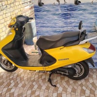 سبيسي ياباني • كفالة عامة • ٥٠٠٠كم