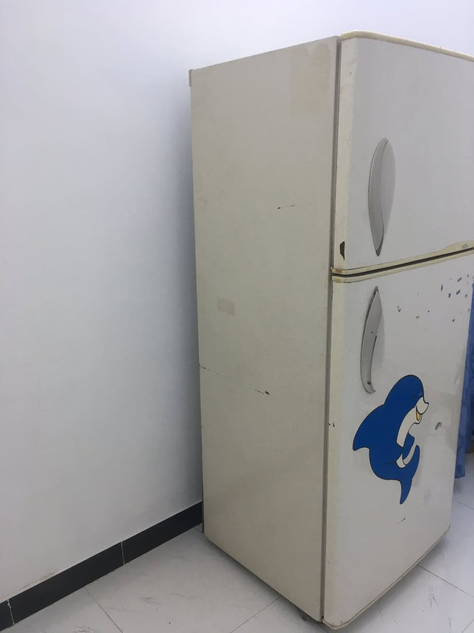 سلام عليكم ثلاجه شغاله تجميد وتبريدشرط سعر 100 مثل ماواضح مكاني سوك شيوخ
***********
