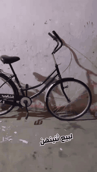 للبيع ثنينهن
ياباني ثنينهن
الرصاصي طتك من جوه من يم الماشه وملحوم 
رصاصي25الف قفل والسود بيه بس. صبغ رايده50قفل مكان ميسان قضاء كميت رقم***********متواجد وت ساب
