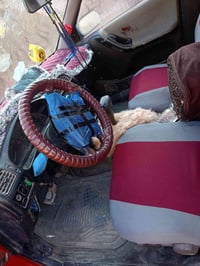 صني • ١٩٩٢ • شغالة