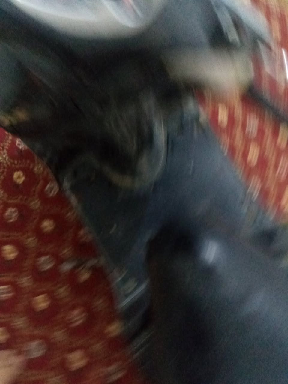 للبيع سكنس نثيه 140  يرادله  ترتيب ابيع كوم حديد   مكينه كايمه بيها دخانه بس شلعه اتخبل يراد لها ترتيبات  
سعر 250 وبي مجال مكاني بغداد المعامل 
*********** 
اذا موجود مراوس راسلني خاص
