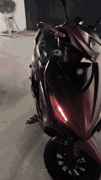 السلام عليكم موطور للبيع حجم المحرك 125.وكلشي بي شغال كهربائيات سعر 280الف وبي مجال مكاني الرمادي للاستفسار الاتصال *********** واتساب او خاص
