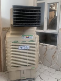 شغاله • نظيفه ١٠٠٪