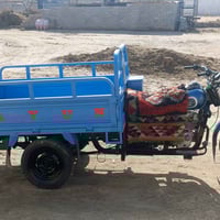 دايون • موديل 15 • اوراق