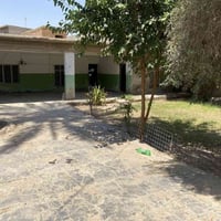 الضلوعية • ٤٠٣م • طابو