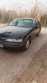 برنس دايو • كامله • اليطيفيه