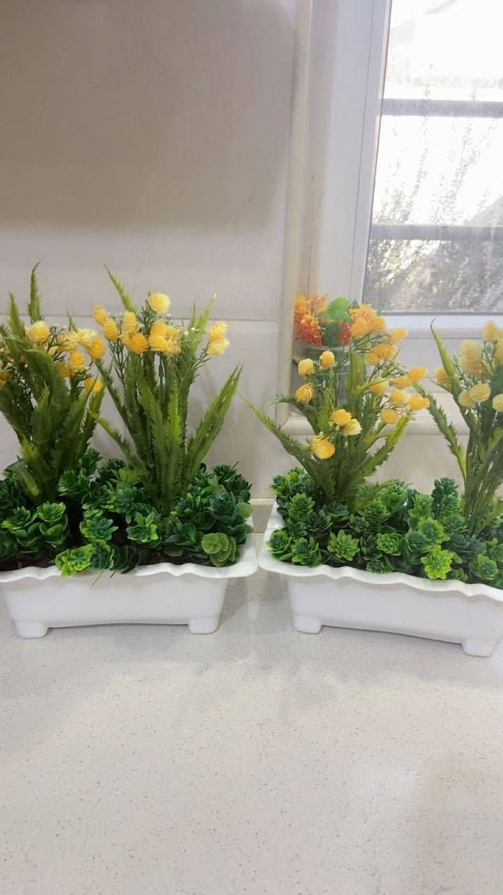 متوفر زرع صناعي اصلي درجه اولى وزن ثقيل
بايركسات حراري أحجام واسعار مختلفه
متوفر توصيل جميع المحافظات 3


**إذا كنت صاحب هذا الإعلان وتريد حذفه لأي سبب، رجاءا أرسل رسالة إلى الدعم الفني**