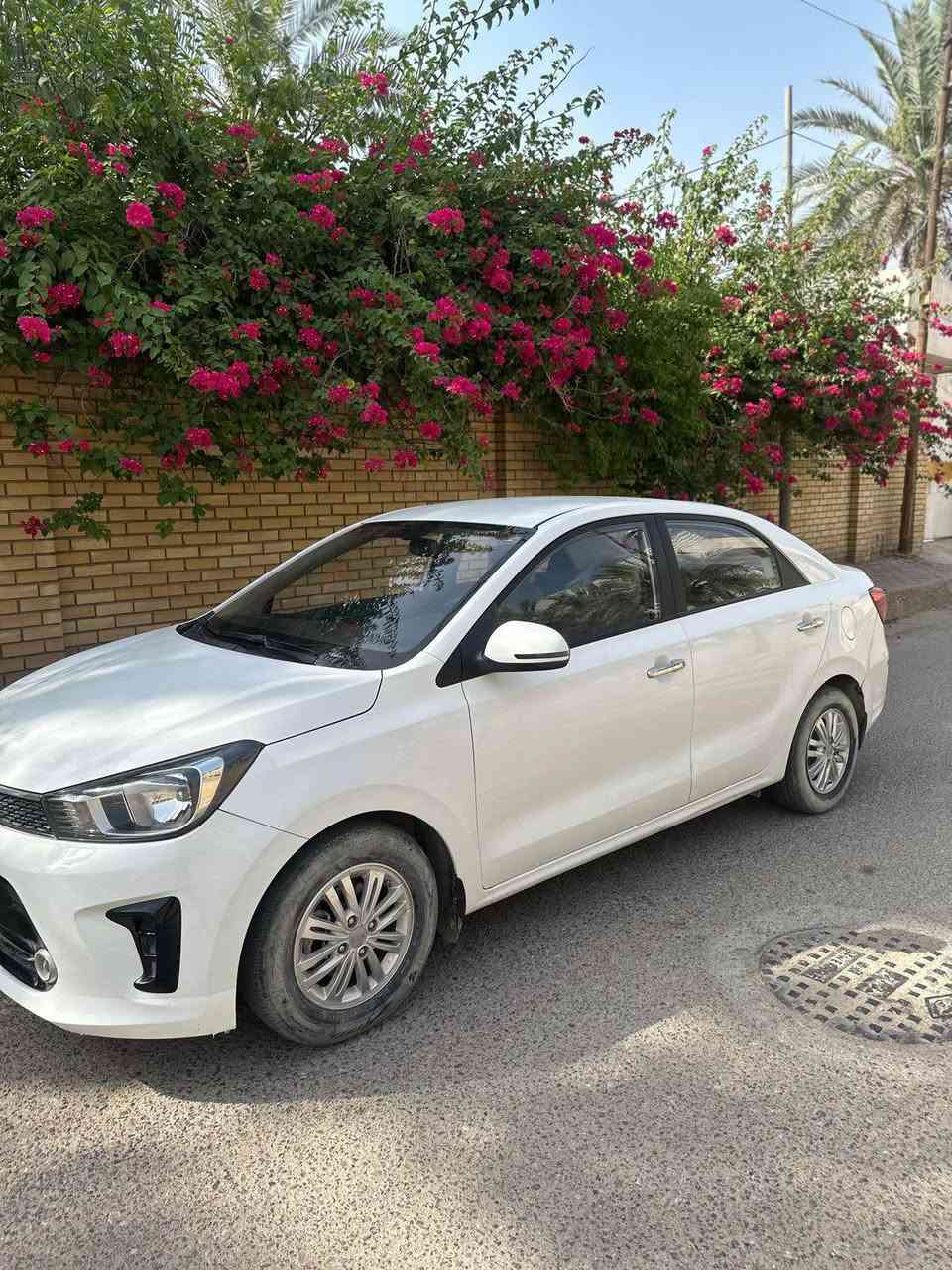 كية بيگاس 
2021
اربيل
1600 محرك
خليجي كفاله ما عدا هذا الي واضح بصوره السعر 93  مكاني البصره ابو الخصيب البهادريه *********** البصرة, العراق

