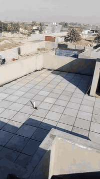 لكل مهنة اختصاص..

 فهو ليس مجرد تطبيك شتايكر...كما يقول البعض..
السطح أكثر أهمية من الواجهات التي يصرف عليها بالملايين ليستفاد منها الناضر وليس صاحب الدار اما السطح فهو سقف البيت بكل ما يحويه من الداخل والخارج...ليس الكل فهناك من يتقن كل شيء في الدار ***********واتساب ***********
