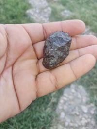 هبهاب مغربي زيتي ملاكط اصلي طبيعي رباني سعر 10 مع التوصيل للحجز رسل رق...