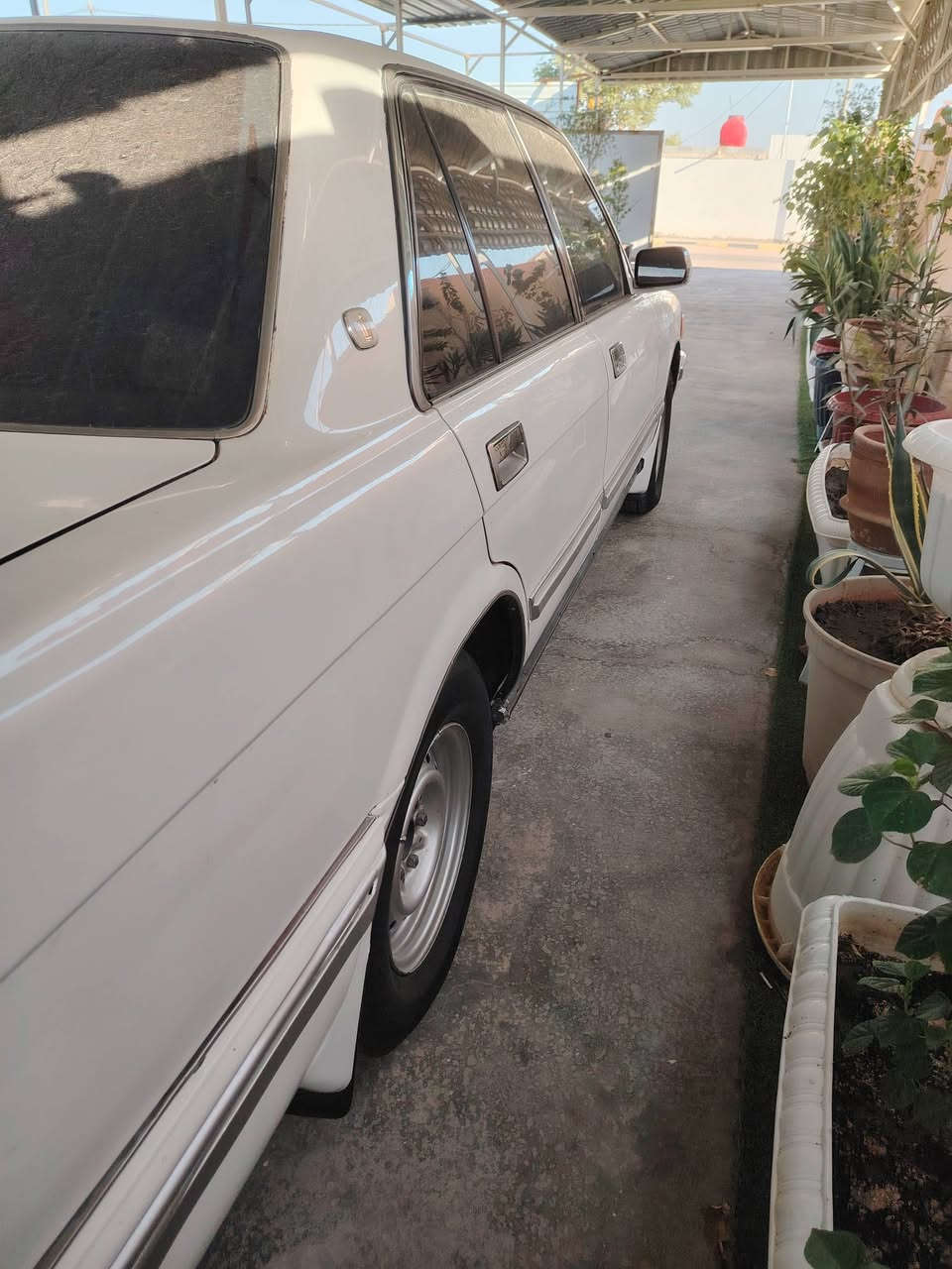 السلام عليكم سوبر ٩٠ زيرو وين ليدور نضيف اخواني الكرام السياره بدون صبغ او ضرر 😍 السياره وضع شركه بلاديه 🥰كير محرك اكسلت شرط 🚀 تبريد قطعتين ثلج 🥶🥶 تدفه نار 🥵🥵 رقم مميز بغداد لماني   للاستفسار الاتصال على الرقم ***********

