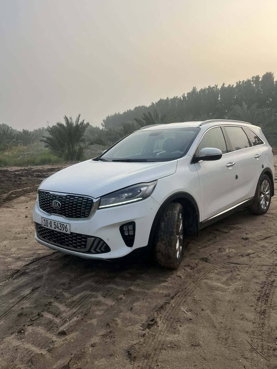 سورنتو موديل 2020خليجي رقم بابل دولي بسمي ماشيه 85موصفات بردات خلفي بلاد علامت سورنتو حساس امامي خلفي محرك بلاد مامفتوح السعر 255 التصل ***********
