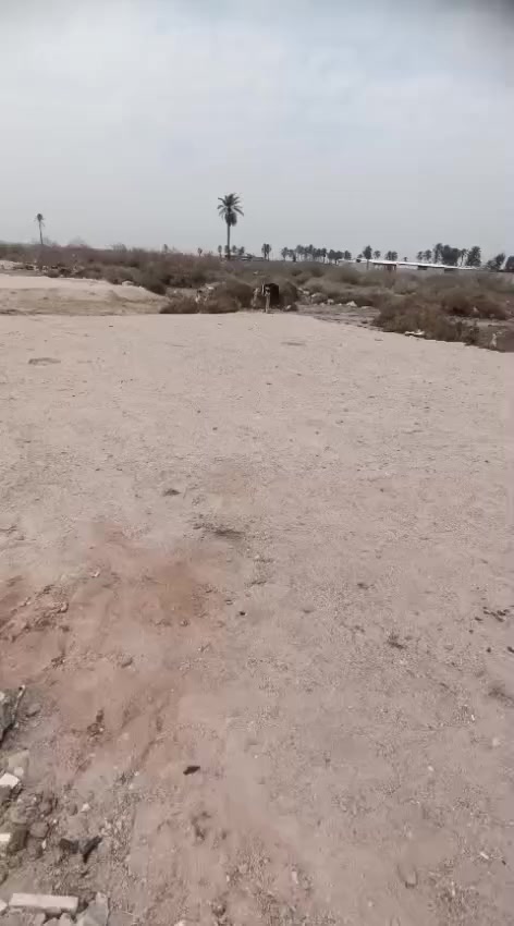 السلام عليكم  توفرت عدنه قطعه للبيع باب الهوئ بالجزيره الرابعه قطعه 200متر للبيع  سند 25السعر 25 رقم الهاتف ***********
