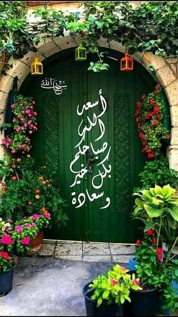 سدك ترموز حجم ٢٠ صاج نضيف *********** ***********

