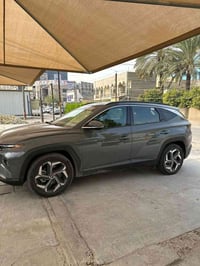 توكسان • ٢٠٢٤ • حادث خلفي