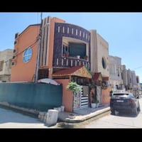 مزارع زيونة • ١٠٠م • فول مفول