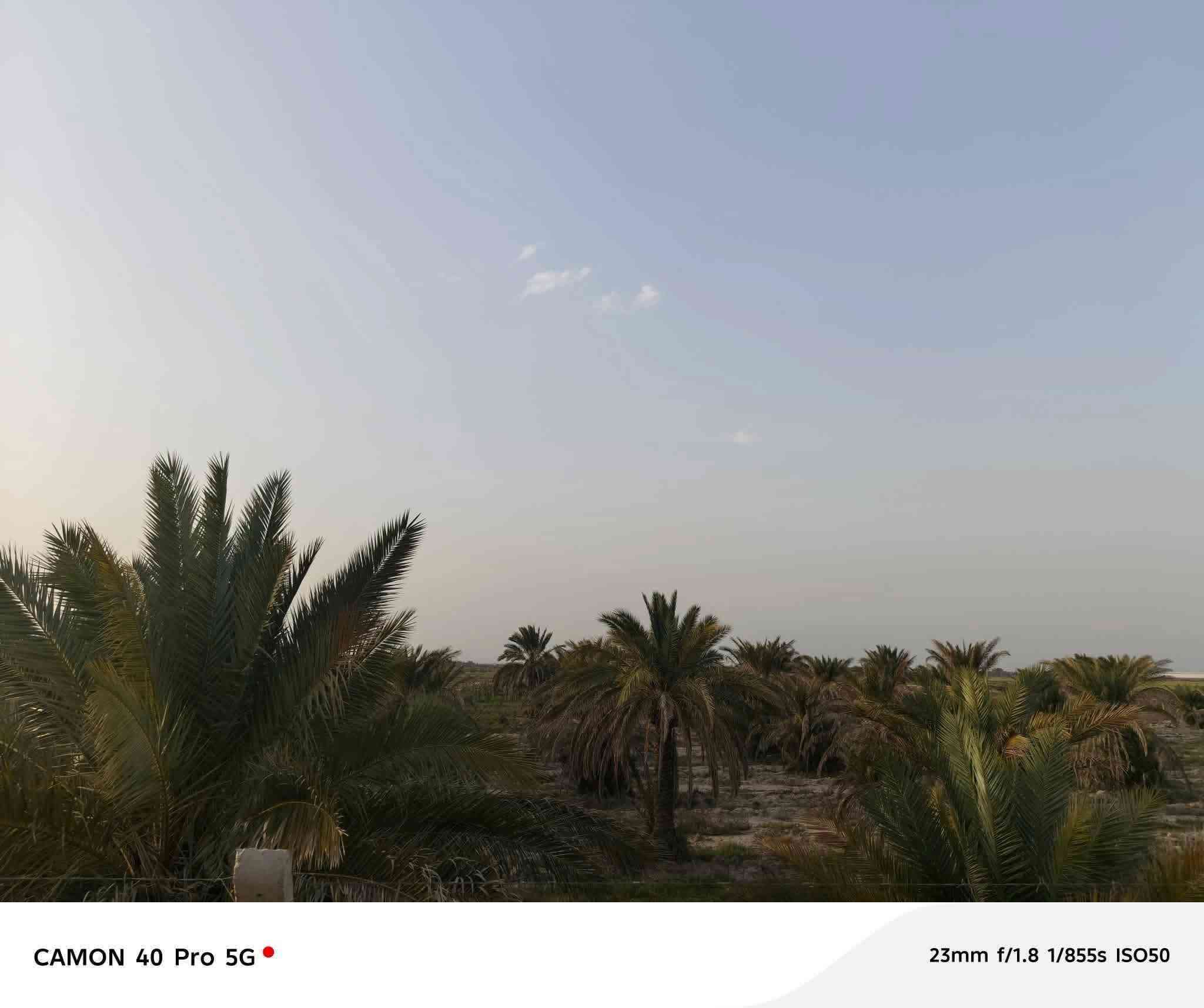اضمن لك دونم على طابو الكاظميه وخلي اولادك يدعولك باجر
عرض اليوم ارض المساحه دونمين بستان موقعهه التاجي _سبع البور_منطقةالبصام مسيجه وبيهه نخل كما موضحه طابو زراعي على طابو الكاظميه سند 25 موقع ممتاز واجهه الدونم 40 والنزال 60 متوفر خدمات كامله من ماء وكهرباء واسالة وبنص السكن والمدارس قريبة عليهه والمزارع والشاليهات سعر الدونم مناسب جدا  لاهلنا وناسنا للاتصال والاستفسار عبر

 الرقم:*********** متوفر واتساب
