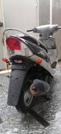 ماكس منغولي • سعر خاص • للبيع