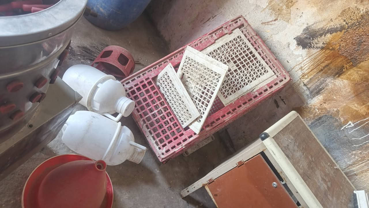 سلام عليكم غراض مال دجاج كامله البيع مكان طوريج *********** وياهن جدر وطباخ  وقفاصه 6
