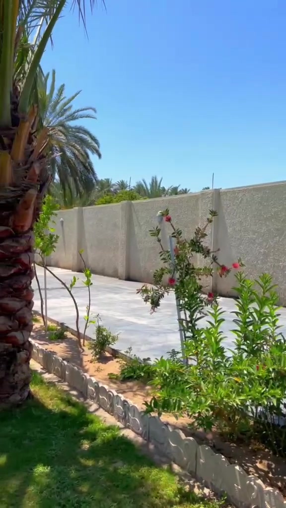 اعلان
عن مزرعه للبيع 

ملك صرف زراعي الوجه 

25 نزل 112 طابو كاظميه 

2800 متر الكلي

الدار مساحته 130 متر 

صاله مطبخ مفتوح 

وغرفتين نوم وخدمات 

ومسبح حار بارد 

ومحميات الحيوانات

ونخيل البرحي والحمضيات 

وطاقه شمسية40 امبير 

الاستفسار مكتب المصطفى 

السعر خاص واتساب
***********
