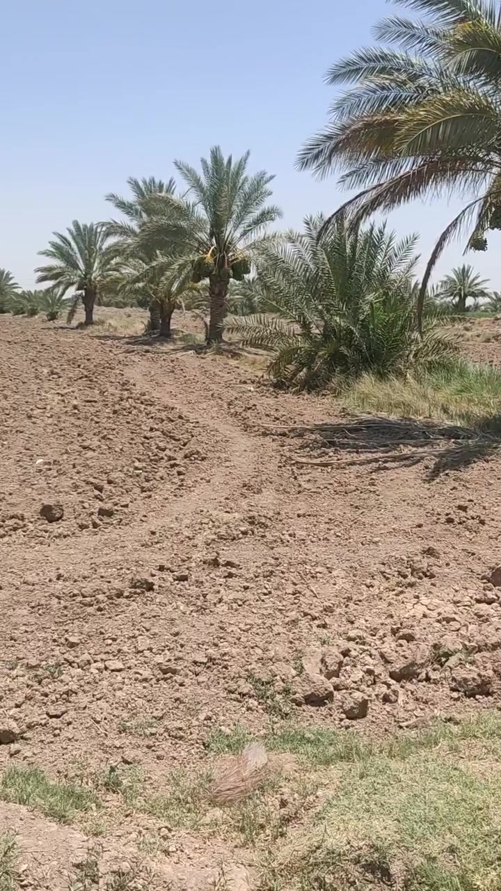 ارض 13 دونم  بالشوملي نزله گصاد متوفر اسأله بوجه الأرض سيح وكهرباء 
عقد 35 
تصلح للسكن كموقع وتصلح حقول
سعر الدونم 16 مليون 
للتواصل والاستفسار 
***********
