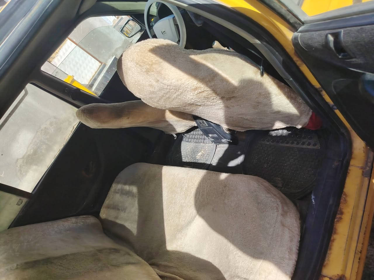 السلام عليكم اخوان اقره المنشور قبل لاتتصل هاذ الرقم ***********
سياره بيجو بارص مديل 2015 السياره كما موضح بلصور تبريد شغال وثلج الصيف الفات سويته كمبريسر جديد تجي وشوف بعينك السياره البدي شوف شوف العين كير جديد مكينه فرنسي بس يرادلها طابوكه السياره تجي وتشوفها عليها هيئه وغرامات يطيحن من سعر السياره شغاله من طول لطول االله يكفيكم الشر امس طلع لبستم من صفحه يعني يحتاج طابوكه فرنسي وااسياره كلشي شغال بيها كير تبريد تدفئه حداديه جديده درايم شفتات تخم تاير باتري دينمو سلف تبريد تدفئه كلشي شغال  سنويه منتهيه ب2020 موجود واتساب *********** السعر 18
