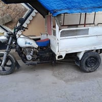 ستوت • اوراق اصولي • موديل ١٧