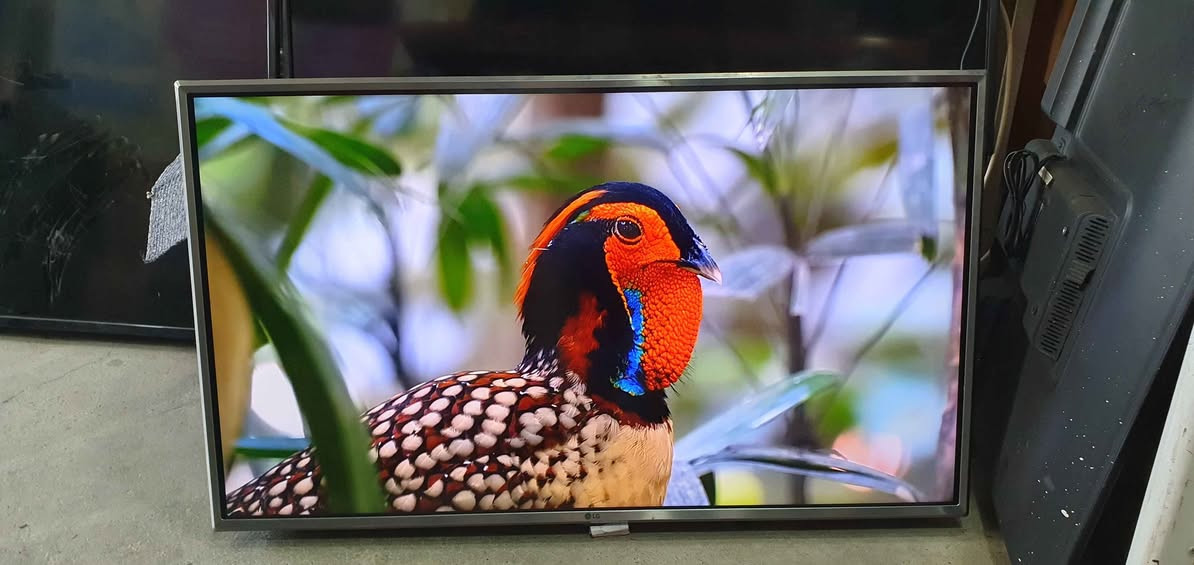 تەلەڤیزۆنی LG سمارت HDR سەتەلایتی تێدایە قەبارە 43
مۆدێل LK6100PVA - 2018 نرخی 150 هەزار لە هەولێرە
پەیوەندی بکەن بە واتساپ و ڤایبەر *********** أربيل, العراق
