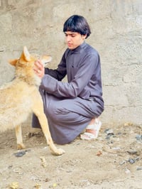 شباب ذيبه للبيع 07862325451