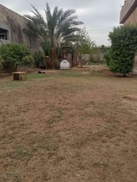 ٣٠٠م • مي وكهرباء • شارع تبليط