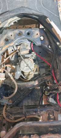 البصره • الزبير • دراجة