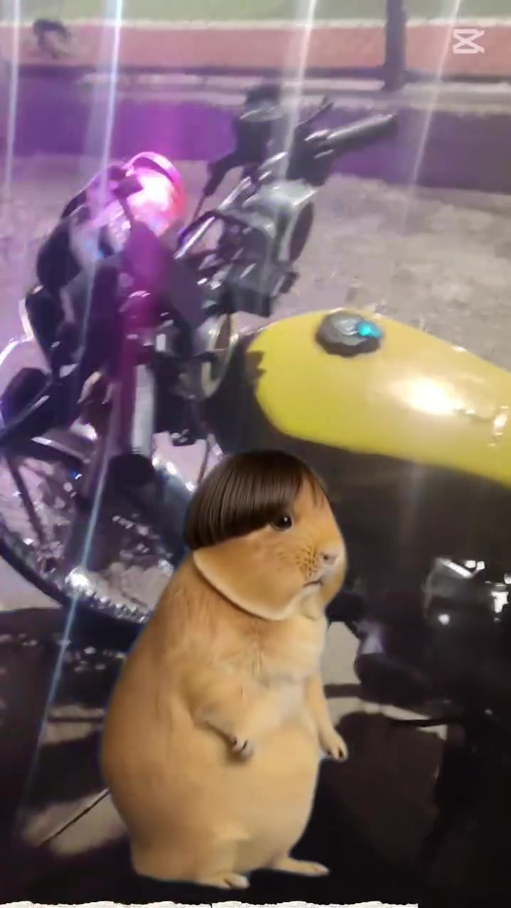 سلام عليكم شباب درجة لبيع  ***********
