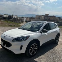 فورد إسكايب • ٢٠٢٢ • رانية