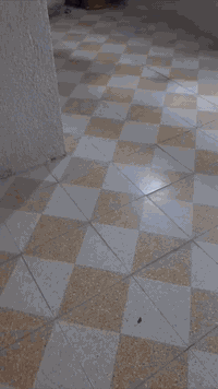 بيت ركن للبيع يتكون من غرفتين وصاله ومطبخ وستقبال وصحيات ومنور داخلي ك...